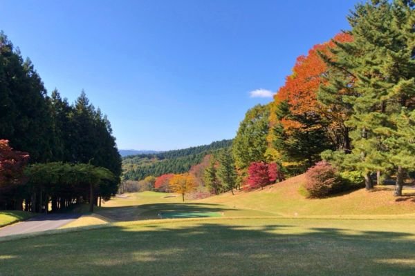 コースの景色写真