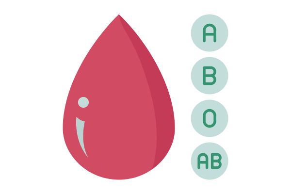 血液型のイメージ図