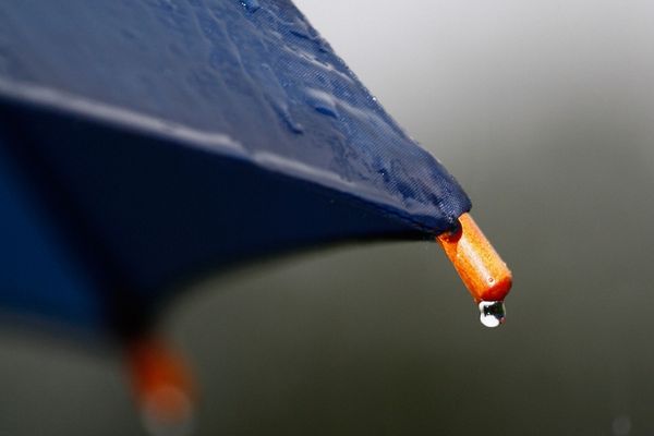 傘と雨